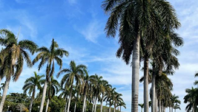 美國邁阿密-大沼澤地國家公園-邁阿密灘-野生動物與美景私享行