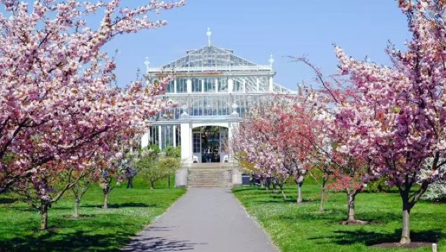 London pergi-balik: Lawatan sehari sewaan peribadi ke Muzium Sherlock Holmes, Istana Hampton & Kew Gardens - tidak termasuk tiket masuk