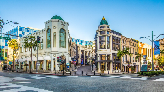 Beverly hills + Greystone mansion & gardens: The Doheny estate + Rodeo Dr + Santa monica state beach (World cup city tour)