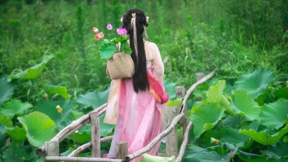 Trip Moments à Luochuan[Photographie à domicile avec suivi, photos familiales et de couple, vidéos courtes, film promotionnel, portraits, reportage de mariage avec remise de toutes les photos brutes]