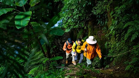 Jalan kaki di hutan hujan Gunung Gaoligong, Tengchong ke Amimo (dapur liar + memetik cendawan liar)