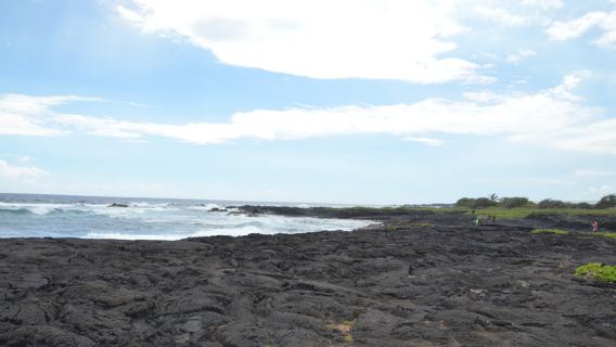 Amerika Hawaii Pantai Pasir Hitam Punaluu Pulau Besar - Taman Negara Gunung Berapi Hawaii - Sewaan Peribadi Melancong