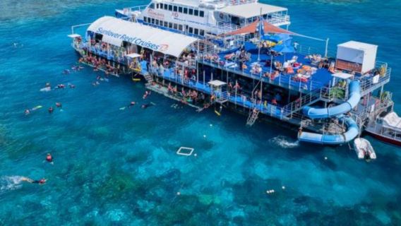 Cairns helikopterdagsudflugt til Det Store Barriererev