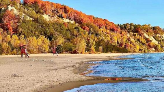 Kanada Toronto lawatan sewa peribadi | Universiti Toronto + Niagara Falls + Taman Tebing※Melihat Daun Maple