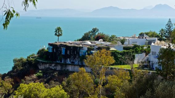 Tunis: Baron d'Erlanger Mansion Guided Walking Tour