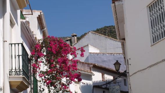 Marbella - Estepona: Jeep Eco Tour - Authentic Andalusia