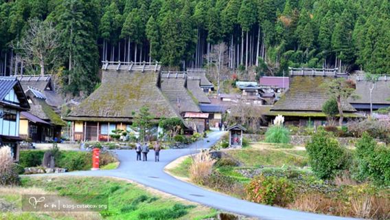 [From Osaka] One-Day Tour Katsuo-ji, Miyama and Arashiyama