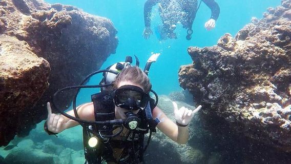 HonoluluExperiences