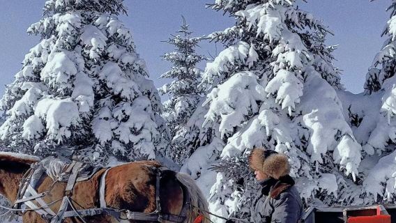 贈雪圈＋滑雪套票＋馬拉爬犁＋馴鹿園【亞布力新體委滑雪場一日遊