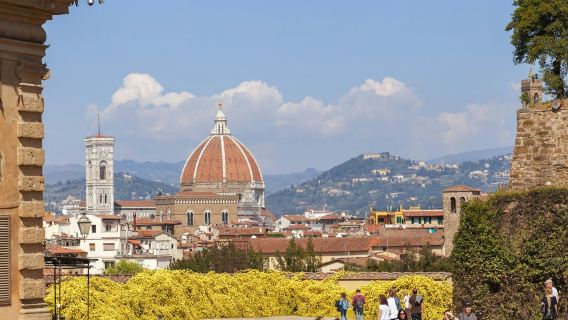 Uffizi Gallery, Palazzo Pitti & Boboli Gardens: Reserved Entry + Audio Guide