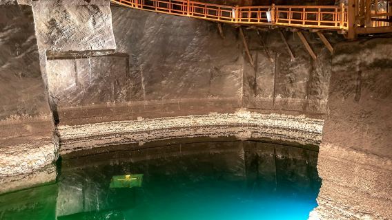 Auschwitz-Birkenau & Wieliczka Salt Mine: Guided Tour + Transport