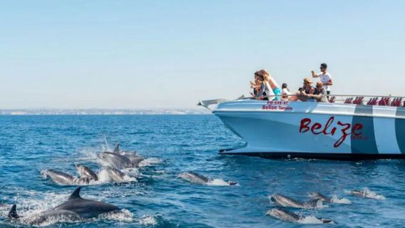 Benagil & Delfinbeobachtung: Katamaran-Tour ab Albufeira