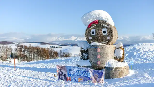 9人小團／巴士團丨北海道旭川美瑛一日遊|四季彩丘+聖誕樹