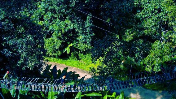 清邁天鷹叢林飛躍【Sky Hawk Zipline Chiang Mai|含接送|多場次可選|可加森林咖啡廳/美旺大象營】