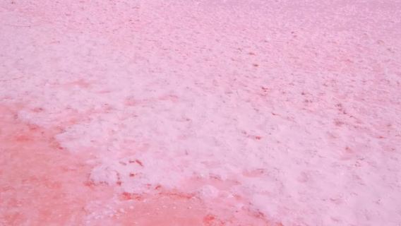 Lake Tuz, Turkey + Underground City + Mystic Canyon & Fairy World + private chartered tour- Customizable Itinerary