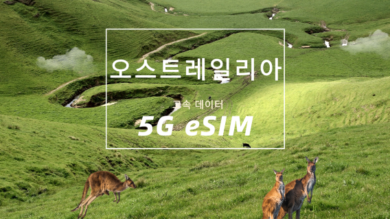 호주SIM카드/데이터