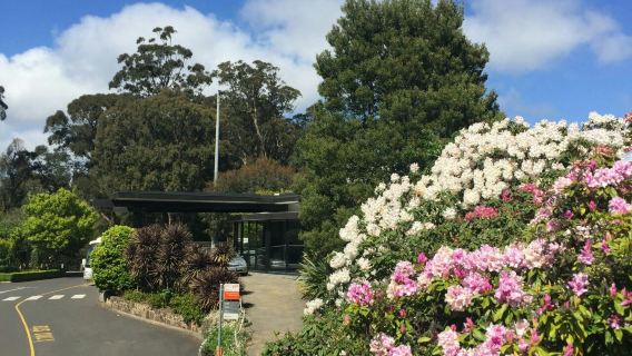 澳洲墨爾本墨爾本博物館+丹頓農山脈國家公園一日遊