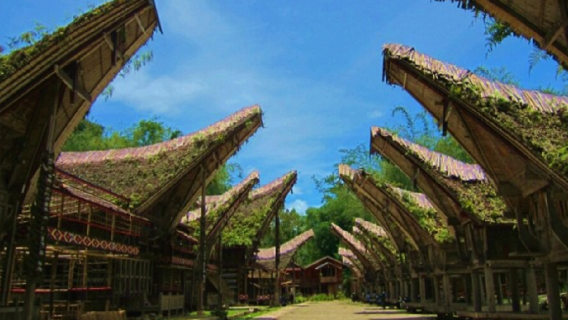 3 Days Toraja Highland Tour to Cultural Wonders Heritage from Makassar