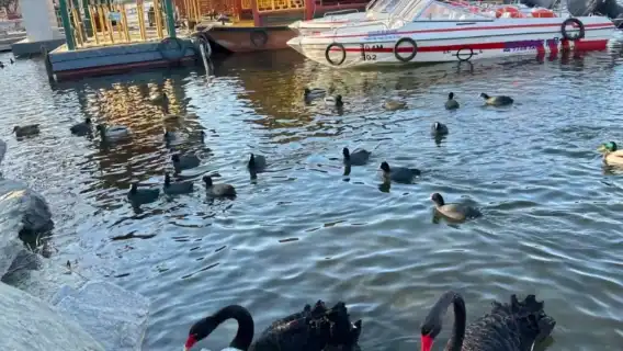 圓明園一日遊【包車出遊，讓出遊更自由舒適】
