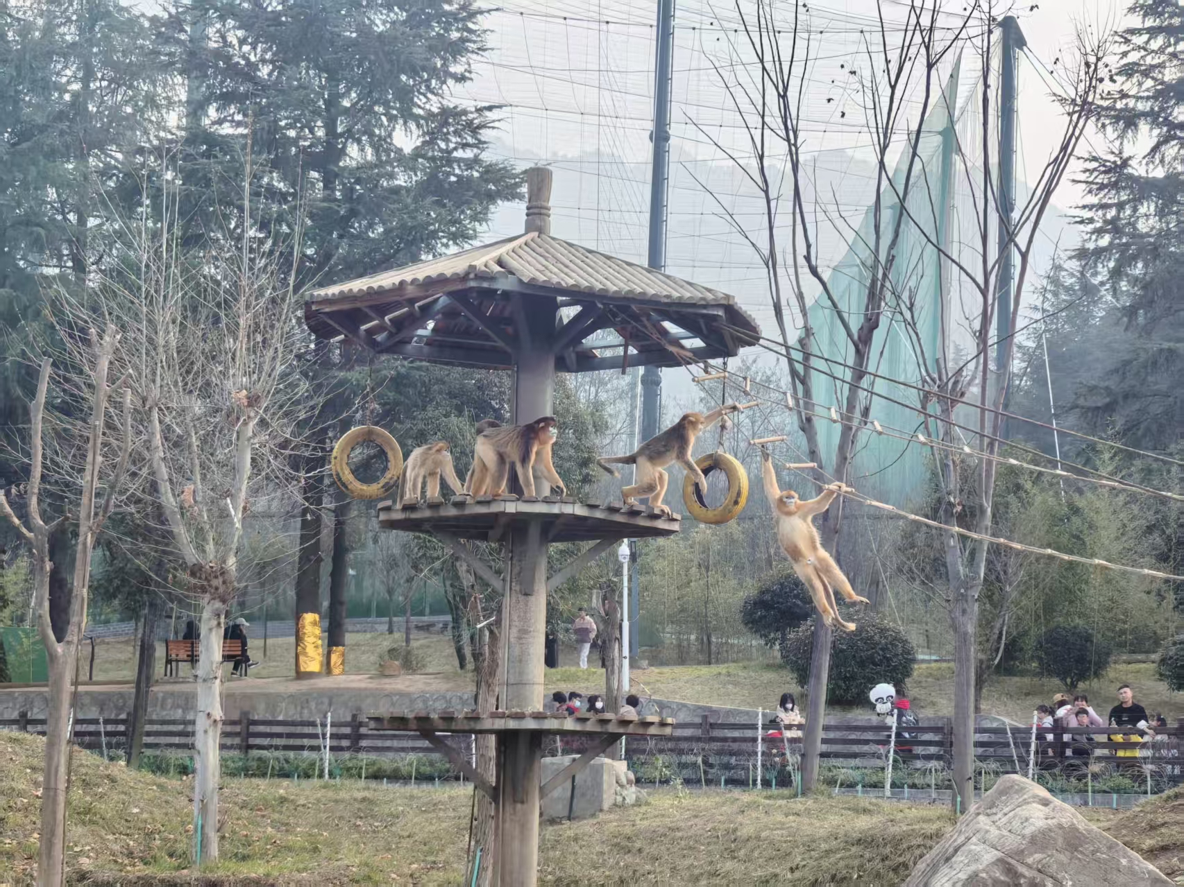 2025年 パンダ公園 - 出発前に知っておくべきことすべて