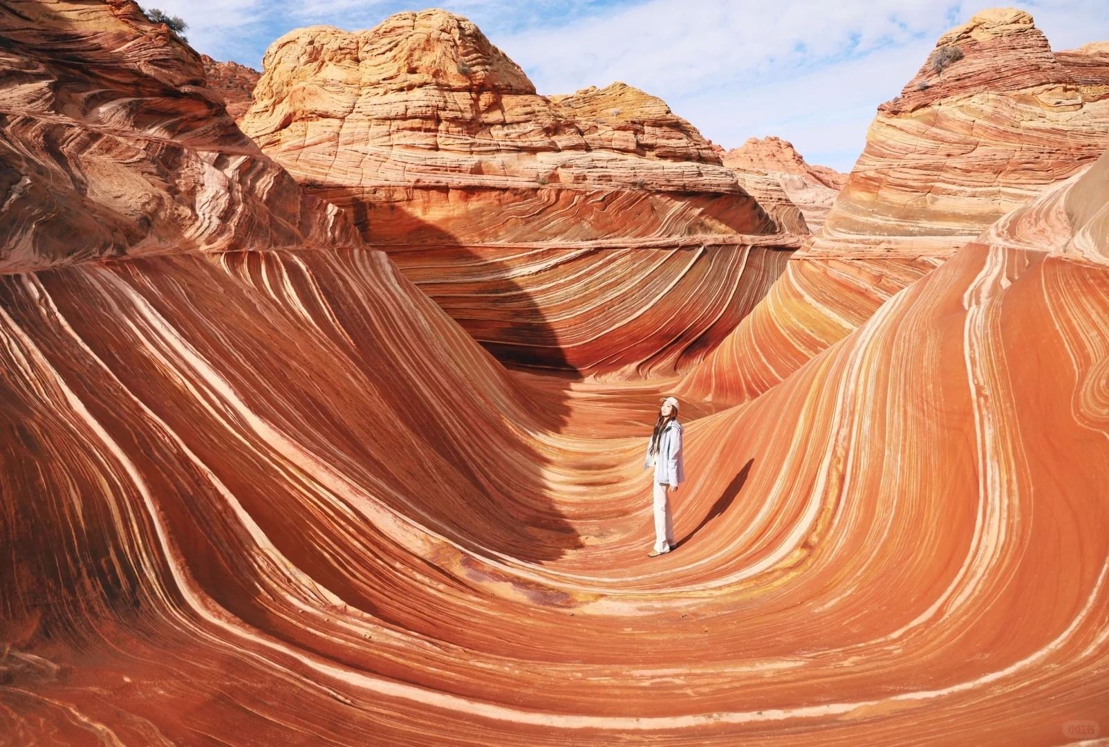 Las Vegas round-trip to Valley of Fire + Red Rock Canyon - private charter - selected