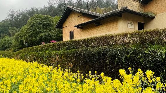 毛澤東故居+劉少奇故居+紀念館一日遊【可選一價全含·0自費】
