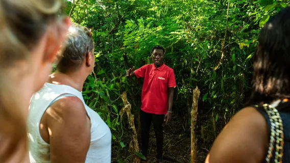 Zanzibar: Half-day Spice Farm, Classic Reef Submarine tour