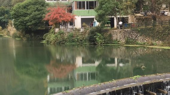 Shaoguan National Forest Park + Maozi Peak + Zhuji Ancient Lane + Meiguan Ancient Road one-day tour English service available