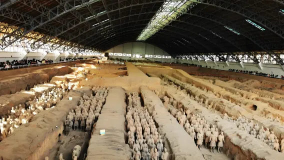 Xi'an Highlights Day Tour: Terracotta Warriors + Tang Dynasty Show with Dumpling Dinner 