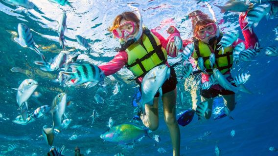 OkinawaExperiences