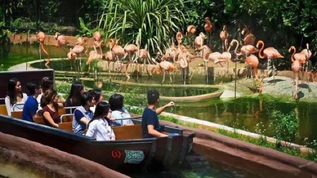 【新加坡一日遊】魚尾獅公園+甘榜格南+牛車水+河川生態園