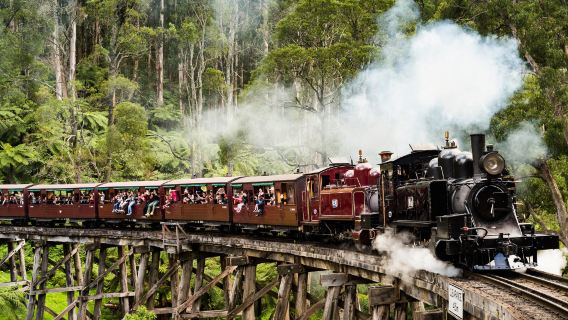 墨爾本蒸氣火車+莫寧頓半島一日遊【普通話司導+市區多站點接送】