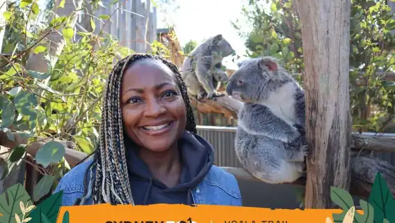 Sydney: Zoo, Blue Mountains and Scenic World Mandarin Tour