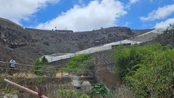 Las Palmas: Privat Botanic Garden Tour & opt. hike Extension