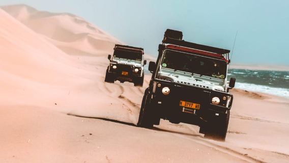 Vịnh Walvis: Du thuyền ngắm cá heo, Hồ Hồng và Đường lái xe 4x4 Dune