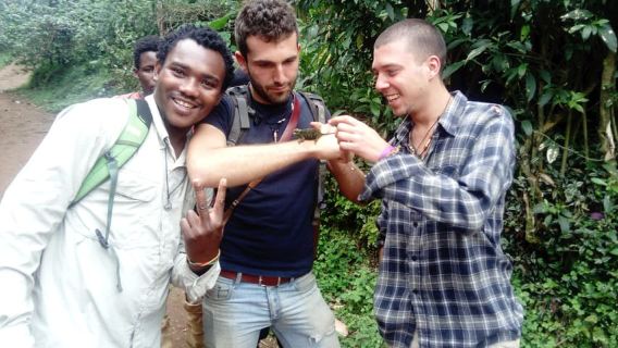 Однодневный тур по водопадам Марангу и культурным достопримечательностям — однодневные поездки