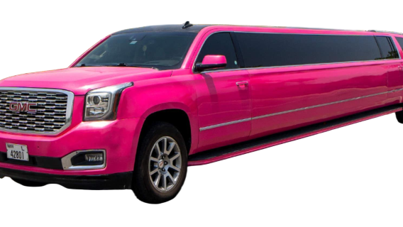 Esperienza in limousine di lusso a Dubai, Emirati Arabi Uniti 104104