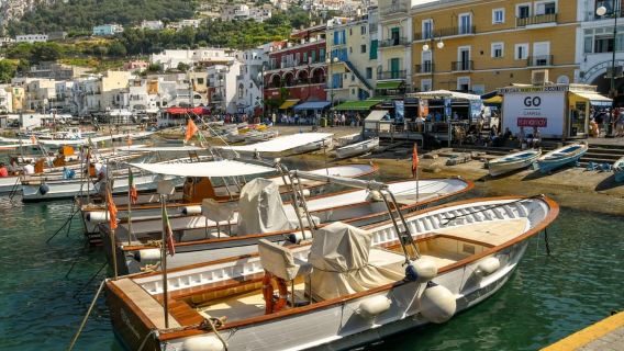 Capri by Land and Sea: Small-Group Tour from Sorrento