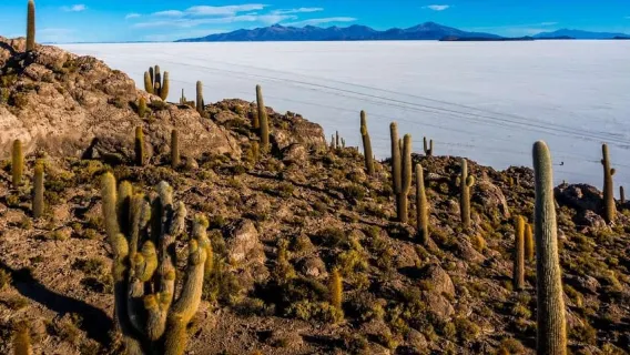 From Uyuni: Uyuni Salt Flats and Sunset Full-Day Tour