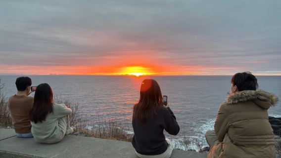 Svolvær: tour guidato di un'intera giornata alle Isole Lofoten