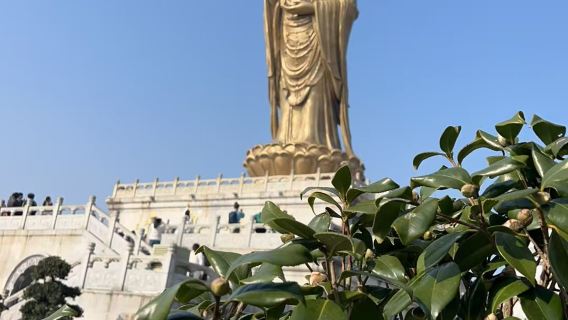 南海觀音+普濟禪寺+西天景區+普陀山風景區一日遊【祈福禪行】