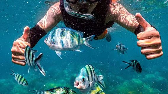 Tour di snorkeling a Phuket Phi Phi Island + Maya Bay + Koh Khai(inclusa la quota di accesso all'isola)