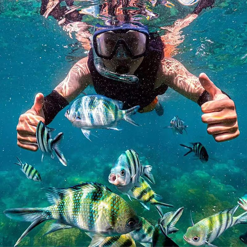 Escursione in barca a Phuket, Isole Phi Phi, Maya Bay e Koh Khai con snorkeling e tasse d'ingresso incluse