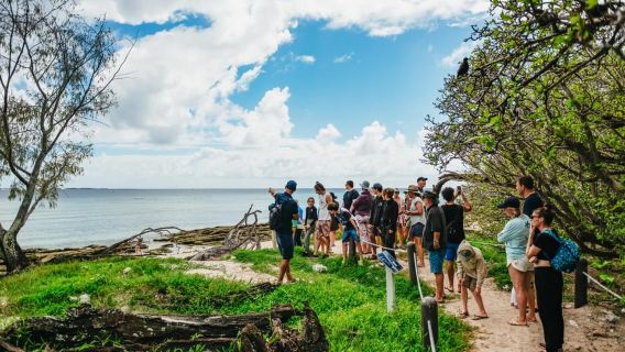 Bundaberg: Lady Musgrave Island and Great Barrier Reef Tour