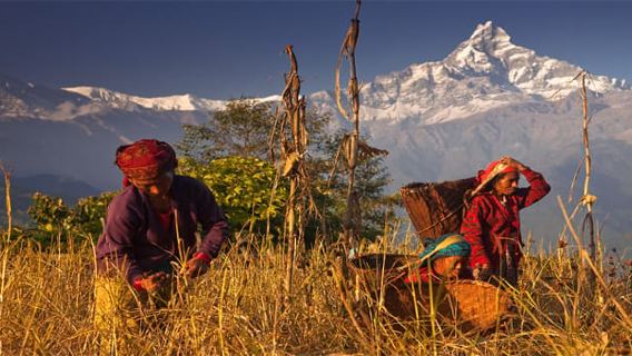 Pendakian Sehari di Kaki Bukit Annapurna