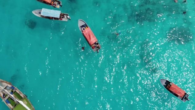 Zanzibar: tour di snorkeling e avvistamento delfini all'isola di Mnemba