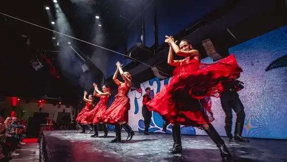 Budapest: Folk Dinner Show with Live Music & Unlimited Wine