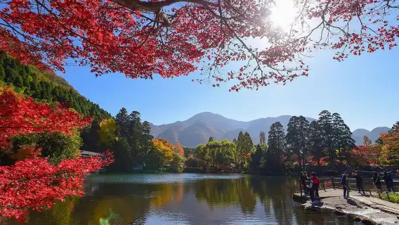 Oita 1-day tour to Dazaifu-tenmangu Shrine + Yufuin Area + Kamado Jigoku [1 person can form a group]