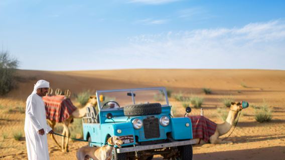 Safari cultural beduino matutino – Viaja en un Land Rover clásico, disfruta del espectáculo de halcones y desayuna como un emirati