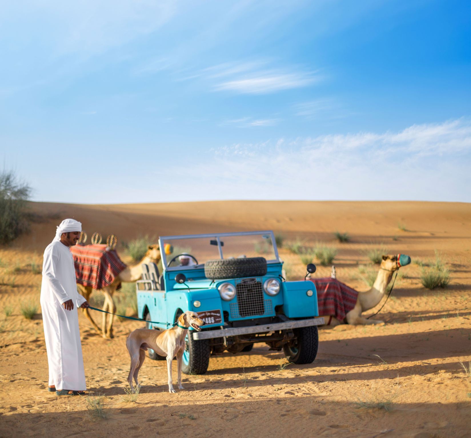Morning Bedouin Culture Safari – Ride Vintage Land Rover, Falcon Show & Enjoy Emirati Breakfast